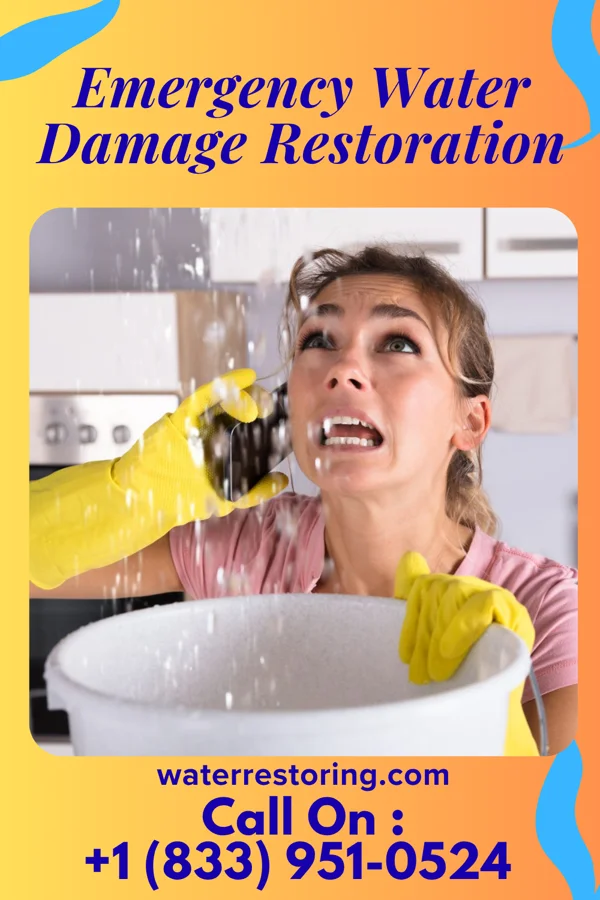 Emergency Water Damage Restoration in Connerton, FL