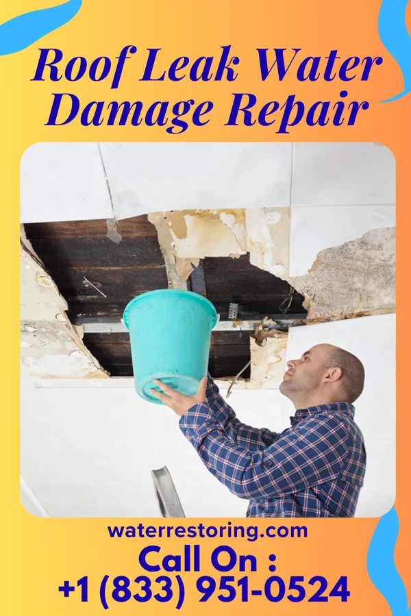 Roof Leak Water Damage Repair in Connerton, FL