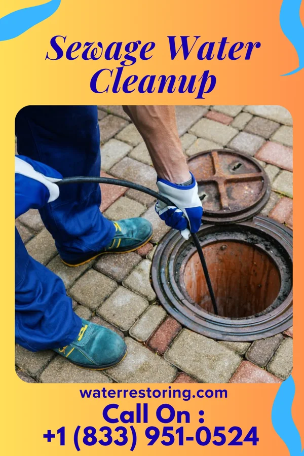 Sewage Water Cleanup in Connerton, FL